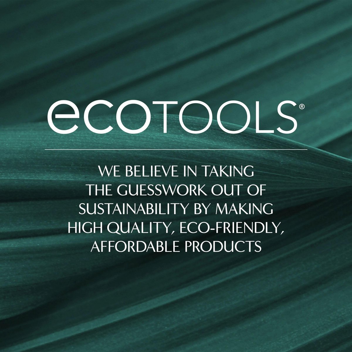 EcoTools EcoPouf Badebürste, 2er-Pack – Umweltfreundliche Reinigung für die Haut
