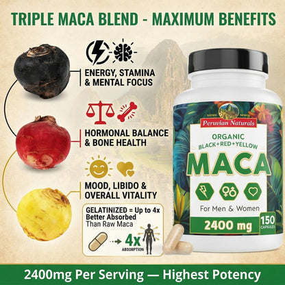 Bio Maca Kapseln für Frauen & Männer 2400 mg pro Portion - 150 Kapseln Schwarze, Rote, Gelbe Maca - Gelatinisierte Macawurzel, Nicht-GVO, Vegan von Peruvian Naturals