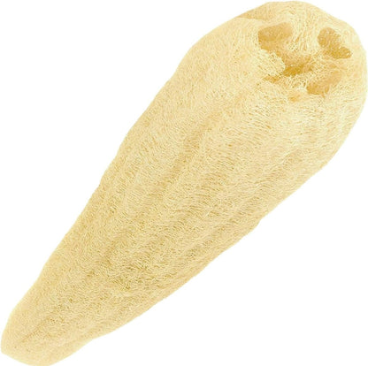 NileCart 22 cm Ägyptischer Luffa-Schwamm – Natürlicher Körperpeeling-Schwamm für Dusche & Bad – Für Männer & Frauen – Hautpflege