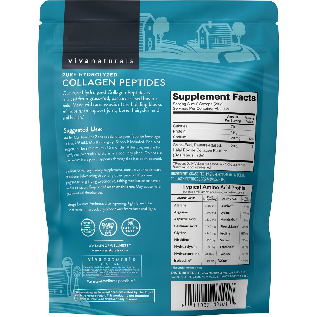 Viva Naturals Kollagen-Peptid-Pulver – Weidehaltung, hydrolysiertes Rinderkollagen Typ I & III – 19 g Protein, ungesüßt, leicht löslich – Unterstützung für Gelenke, Haut, Haare & Nägel – Paläo, Keto, Nicht-GVO – 454 g