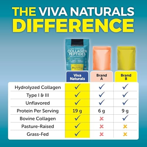 Viva Naturals Kollagen-Peptid-Pulver – Weidehaltung, hydrolysiertes Rinderkollagen Typ I & III – 19 g Protein, ungesüßt, leicht löslich – Unterstützung für Gelenke, Haut, Haare & Nägel – Paläo, Keto, Nicht-GVO – 454 g