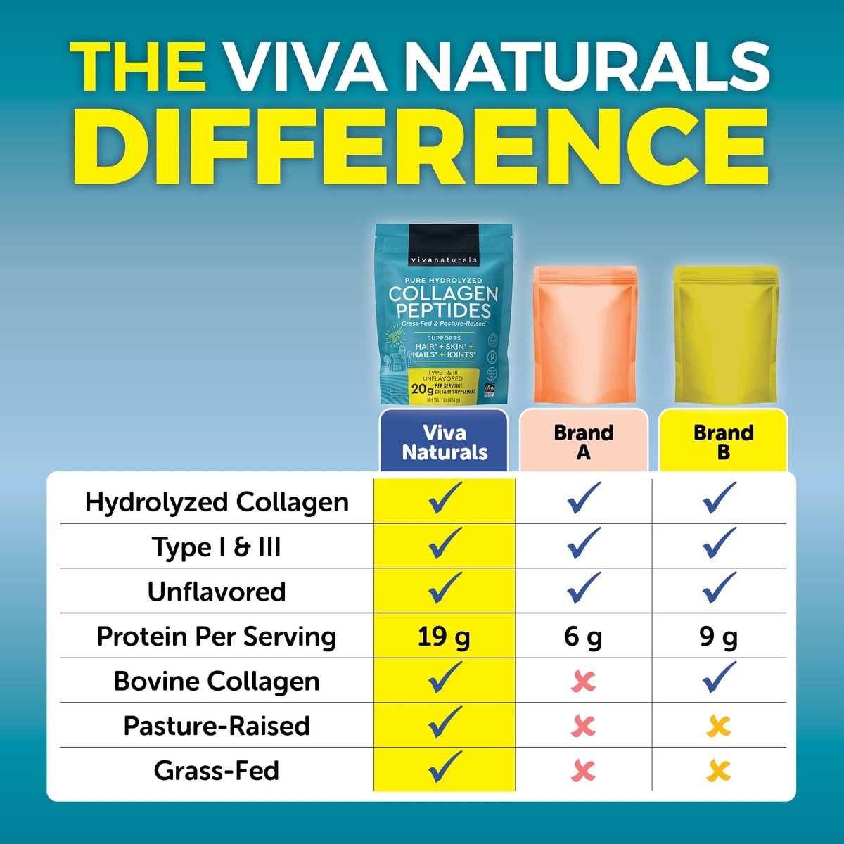 Viva Naturals Kollagen-Peptid-Pulver – Weidehaltung, hydrolysiertes Rinderkollagen Typ I & III – 19 g Protein, ungesüßt, leicht löslich – Unterstützung für Gelenke, Haut, Haare & Nägel – Paläo, Keto, Nicht-GVO – 454 g