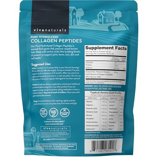 Viva Naturals Kollagen-Peptid-Pulver – Weidehaltung, hydrolysiertes Rinderkollagen Typ I & III – 19 g Protein, ungesüßt, leicht löslich – Unterstützung für Gelenke, Haut, Haare & Nägel – Paläo, Keto, Nicht-GVO – 454 g