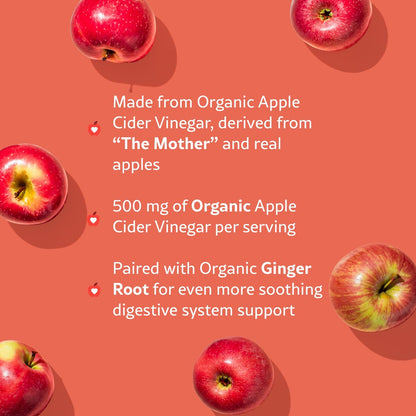 WellPath Bio-Apfelessig Gummibärchen mit der Mutter – USDA Bio ACV Gummis – Ingwer & Apfelessig mit Mutter für die Darmgesundheit – Vegan, Nicht-GVO, 60 Stück