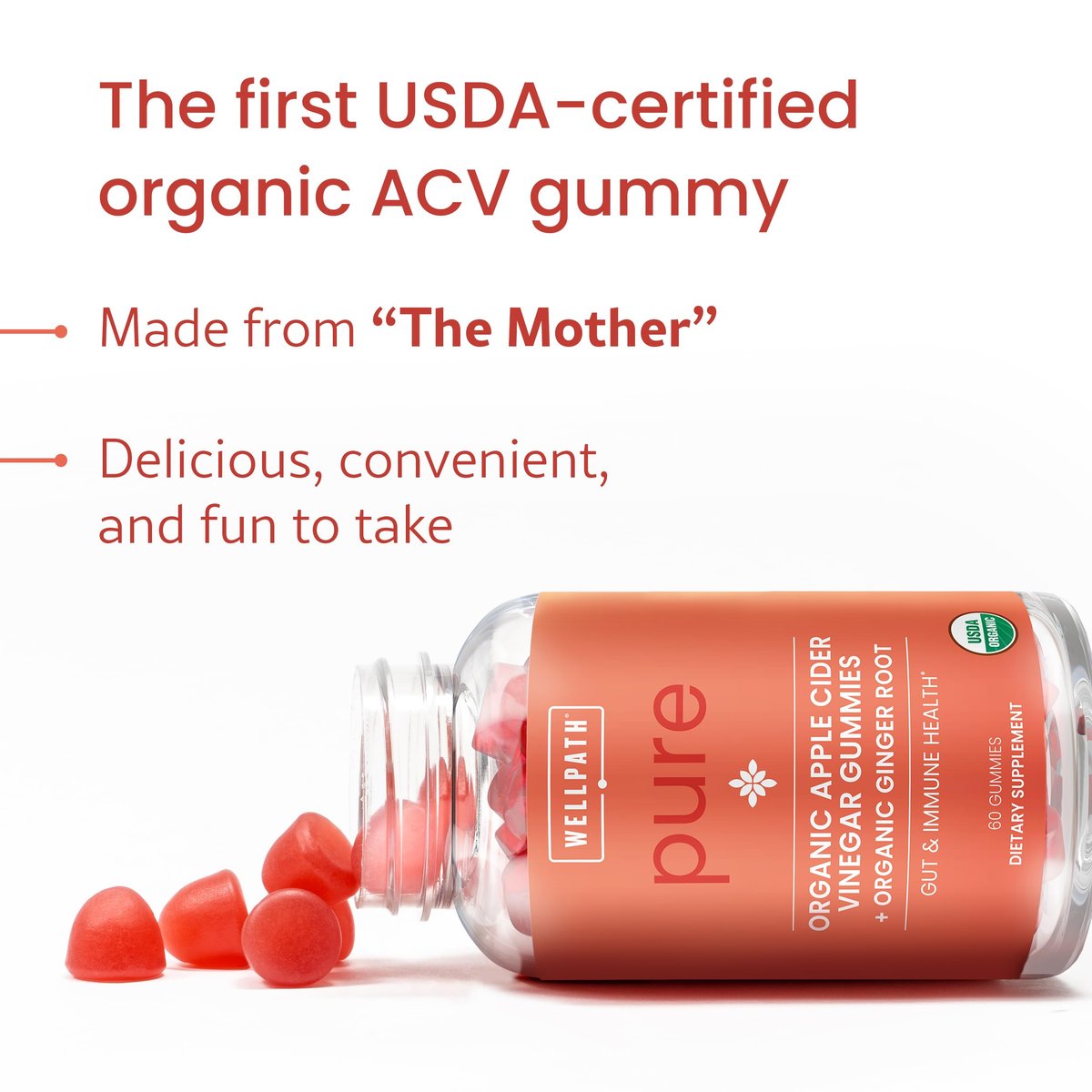 WellPath Bio-Apfelessig Gummibärchen mit der Mutter – USDA Bio ACV Gummis – Ingwer & Apfelessig mit Mutter für die Darmgesundheit – Vegan, Nicht-GVO, 60 Stück