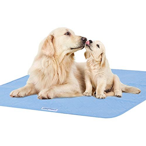 SPRINGSPIRIT Waschbare Bettauflagen 34x36 Zoll, 2er-Pack – Wasserdichte wiederverwendbare Inkontinenzunterlagen, Saugfähige Bettschutzauflagen für Erwachsene, Senioren, Kinder, Kleinkinder und Haustiere, Weiß & Blau