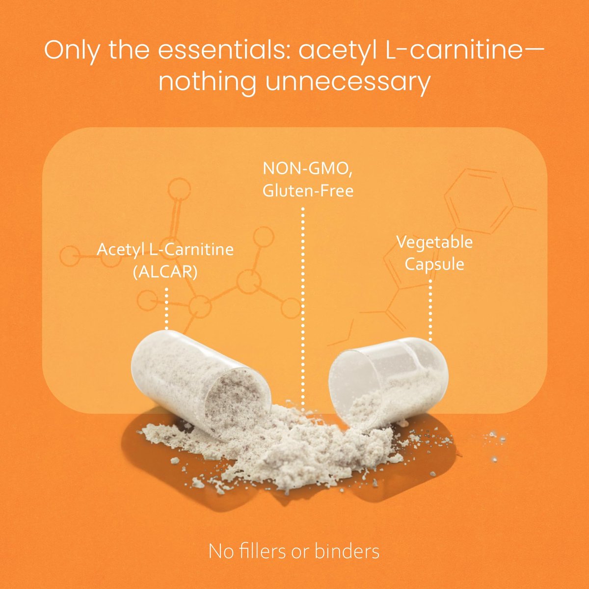 NaturaLife Labs Acetyl L-Carnitin (ALCAR) 1500 mg pro Portion – 100 Kapseln – Non-GMO, glutenfrei, vegan