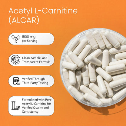 NaturaLife Labs Acetyl L-Carnitin (ALCAR) 1500 mg pro Portion – 100 Kapseln – Non-GMO, glutenfrei, vegan