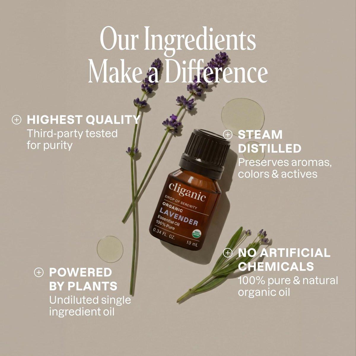 Cliganic Bio-Lavendelöl – 100% reines, natürliches und unverdünntes ätherisches Öl für Aromatherapie-Diffuser | Non-GMO verifiziert