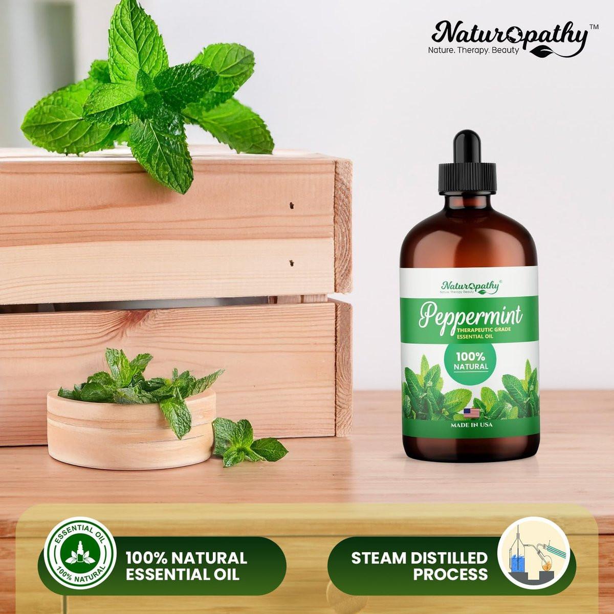Naturopathy Pfefferminzöl Bio-Therapeutische Qualität 118 ml – Ideal für Aromatherapie und Entspannung