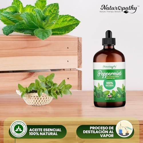 Naturopathy Pfefferminzöl Bio-Therapeutische Qualität 118 ml – Ideal für Aromatherapie und Entspannung
