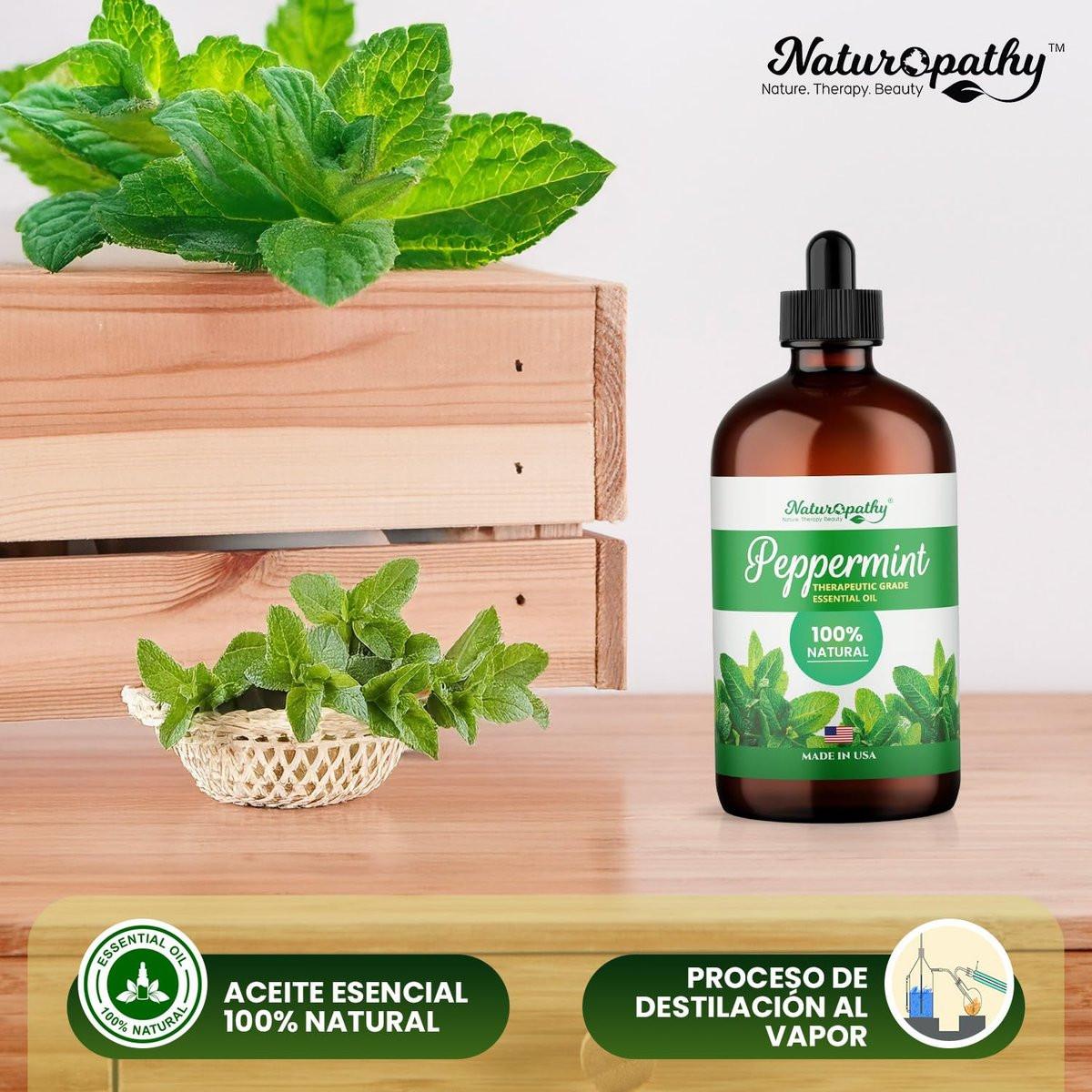 Naturopathy Pfefferminzöl Bio-Therapeutische Qualität 118 ml – Ideal für Aromatherapie und Entspannung
