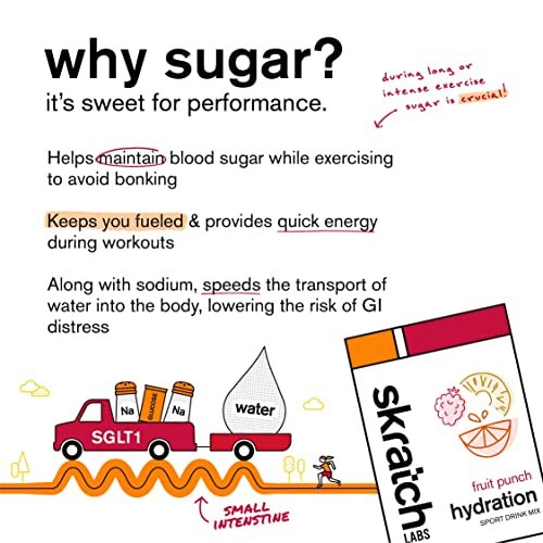 Skratch Labs Hydration Sports Drink Mix – Fruchtpunsch, 20 Portionen – Veganes, nicht-GVO Elektrolytpulver für schnelle Hydration & Ausdauer