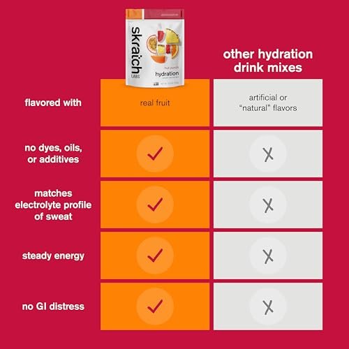 Skratch Labs Hydration Sports Drink Mix – Fruchtpunsch, 20 Portionen – Veganes, nicht-GVO Elektrolytpulver für schnelle Hydration & Ausdauer