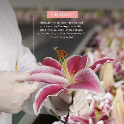 Lily Duftendes Körperöl – Leichtes, schnell einziehendes Feuchtigkeitsöl, 150 ml