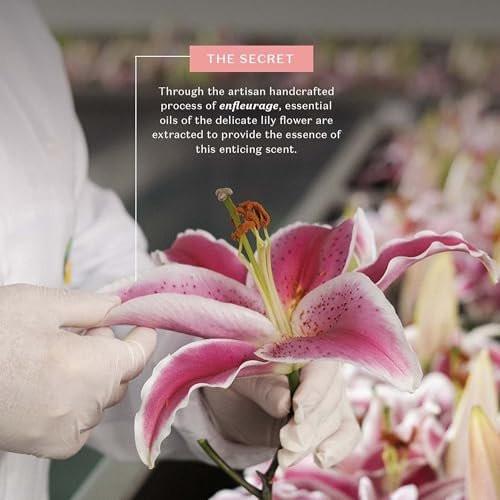 Lily Duftendes Körperöl – Leichtes, schnell einziehendes Feuchtigkeitsöl, 150 ml