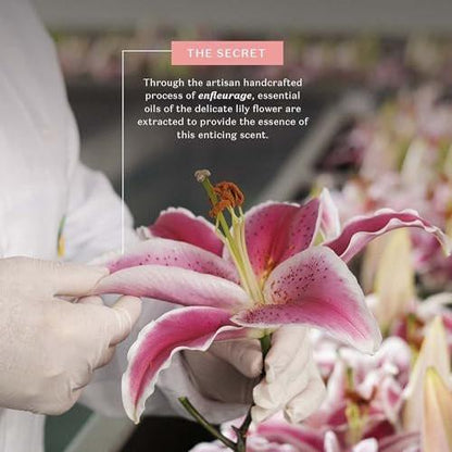 Lily Duftendes Körperöl – Leichtes, schnell einziehendes Feuchtigkeitsöl, 150 ml