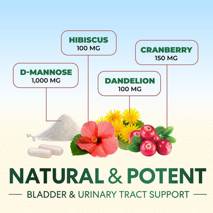 D-Mannose 1000mg pro Portion – Cranberry & Hibiscus – Effektiv schnell wirkend, Spülen Sie die Unreinheiten aus – Unterstützung für Blasen- und Harnwegsgesundheit – für Frauen und Männer – in den USA abgefüllt – 60 Kapseln