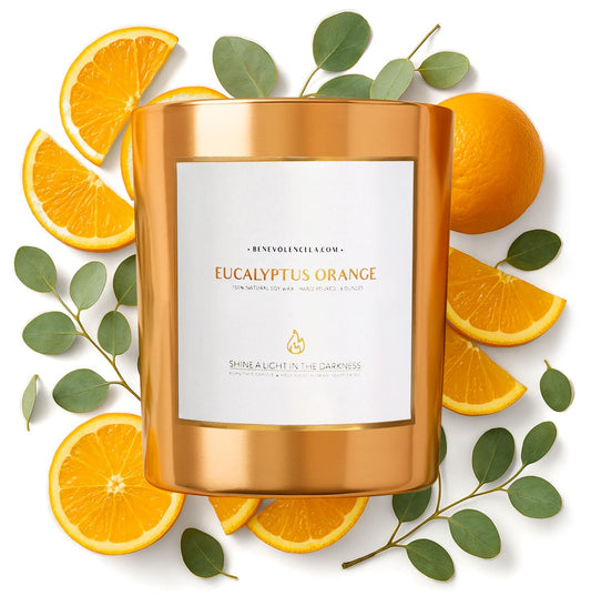 Benevolence LA Eukalyptus Orange Holzdocht Kerzen | Soja Weihnachtsduftkerzen für Zuhause | Geschenk für Frauen und Männer | 227g, 45 Stunden Brenndauer