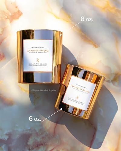 Benevolence LA Eukalyptus Orange Holzdocht Kerzen | Soja Weihnachtsduftkerzen für Zuhause | Geschenk für Frauen und Männer | 227g, 45 Stunden Brenndauer