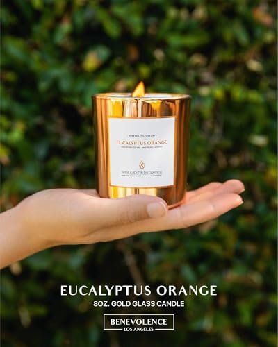 Benevolence LA Eukalyptus Orange Holzdocht Kerzen | Soja Weihnachtsduftkerzen für Zuhause | Geschenk für Frauen und Männer | 227g, 45 Stunden Brenndauer