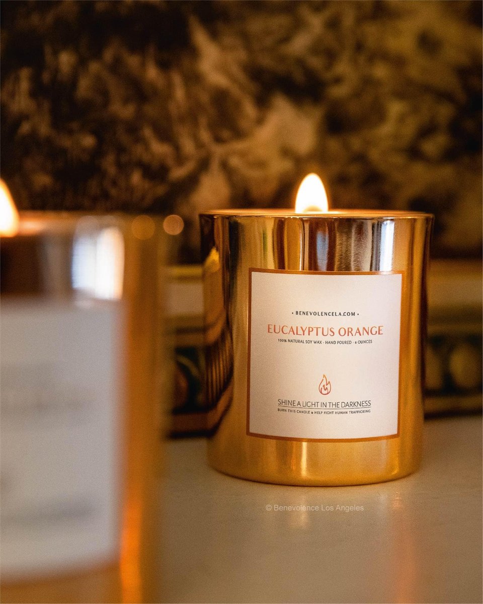 Benevolence LA Eukalyptus Orange Holzdocht Kerzen | Soja Weihnachtsduftkerzen für Zuhause | Geschenk für Frauen und Männer | 227g, 45 Stunden Brenndauer