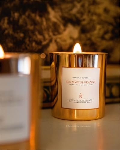 Benevolence LA Eukalyptus Orange Holzdocht Kerzen | Soja Weihnachtsduftkerzen für Zuhause | Geschenk für Frauen und Männer | 227g, 45 Stunden Brenndauer