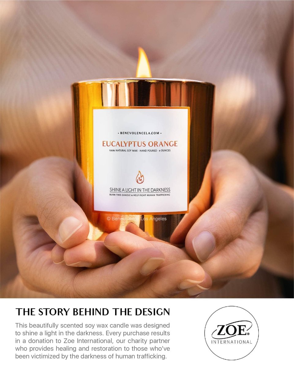 Benevolence LA Eukalyptus Orange Holzdocht Kerzen | Soja Weihnachtsduftkerzen für Zuhause | Geschenk für Frauen und Männer | 227g, 45 Stunden Brenndauer