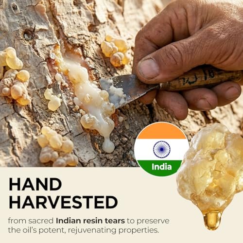 Gya Labs USDA Bio-zertifiziertes Weihrauch Ätherisches Öl - Boswellia Serrata für Haut, Diffuser, Meditation, Aromatherapie, DIY Kerzenherstellung Düfte - 0,34 Fl Oz