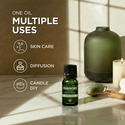 Gya Labs USDA Bio-zertifiziertes Weihrauch Ätherisches Öl - Boswellia Serrata für Haut, Diffuser, Meditation, Aromatherapie, DIY Kerzenherstellung Düfte - 0,34 Fl Oz