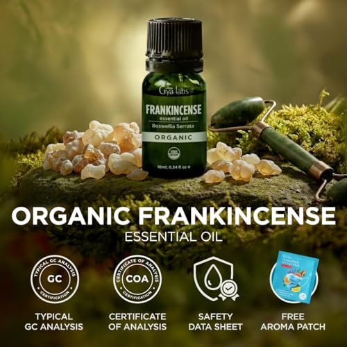 Gya Labs USDA Bio-zertifiziertes Weihrauch Ätherisches Öl - Boswellia Serrata für Haut, Diffuser, Meditation, Aromatherapie, DIY Kerzenherstellung Düfte - 0,34 Fl Oz