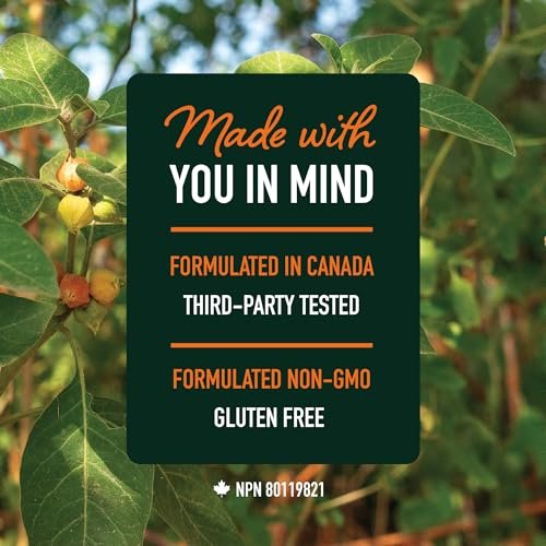 Ashwagandha 1300 mg Kapseln – Stressresistenz und Energieboost | Hochabsorbierendes Adaptogen aus Wurzelpulver mit Schwarzem Pfeffer | Unterstützung bei stressbedingter Müdigkeit | Nicht-GVO | 120 Stück, 2-Monats-Vorrat