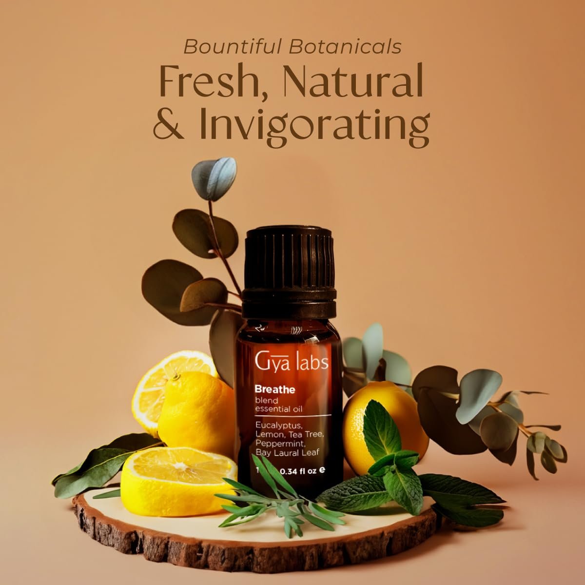 Gya Labs Atemöl-Mischung – 100 % reine natürliche Atemerleichterung mit Eukalyptus, Pfefferminze und mehr für Luftbefeuchter (0,34 Fl Oz)