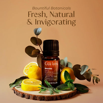 Gya Labs Atemöl-Mischung – 100 % reine natürliche Atemerleichterung mit Eukalyptus, Pfefferminze und mehr für Luftbefeuchter (0,34 Fl Oz)