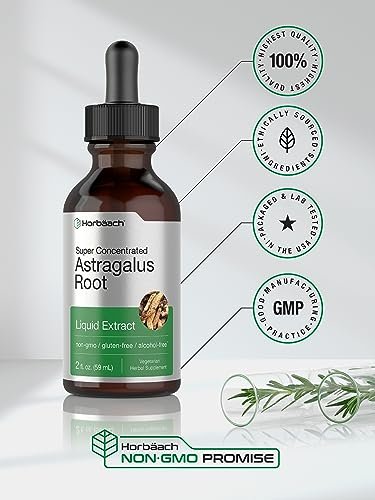 Horbäach Astragalus-Wurzelextrakt Flüssig | 60 ml | Alkoholfreie Tinktur | Hochkonzentriert | Vegetarisch, Nicht-GVO, Glutenfrei