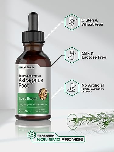 Horbäach Astragalus-Wurzelextrakt Flüssig | 60 ml | Alkoholfreie Tinktur | Hochkonzentriert | Vegetarisch, Nicht-GVO, Glutenfrei