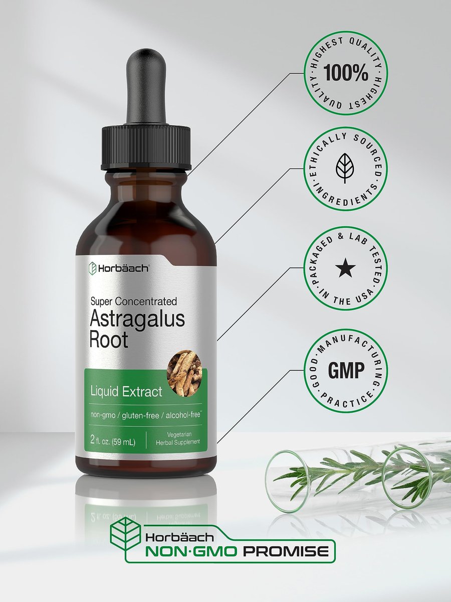 Horbäach Astragalus-Wurzelextrakt Flüssig | 60 ml | Alkoholfreie Tinktur | Hochkonzentriert | Vegetarisch, Nicht-GVO, Glutenfrei