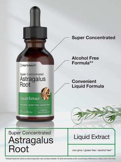 Horbäach Astragalus-Wurzelextrakt Flüssig | 60 ml | Alkoholfreie Tinktur | Hochkonzentriert | Vegetarisch, Nicht-GVO, Glutenfrei