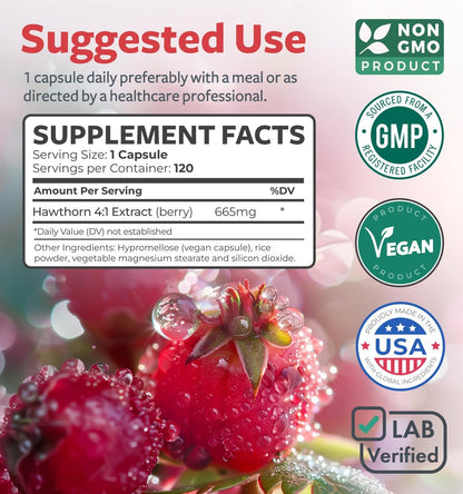 Hochwirksame Weißdornbeeren-Extrakt Kapseln – Nahrungsergänzungsmittel aus extra starkem Konzentrat zur Unterstützung der Herz- und Verdauungsgesundheit – Vegan, Nicht-GVO & Glutenfrei (4-Monats-Vorrat)