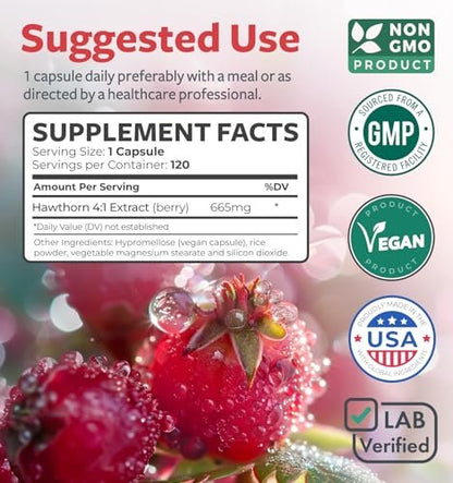 Hochwirksame Weißdornbeeren-Extrakt Kapseln – Nahrungsergänzungsmittel aus extra starkem Konzentrat zur Unterstützung der Herz- und Verdauungsgesundheit – Vegan, Nicht-GVO & Glutenfrei (4-Monats-Vorrat)