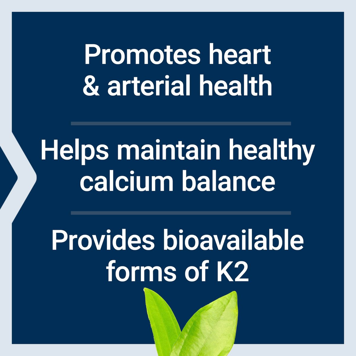 Life Extension Super K – Vitamin-K-Komplex mit K1 und K2 für die Herzgesundheit, 90 Softgels