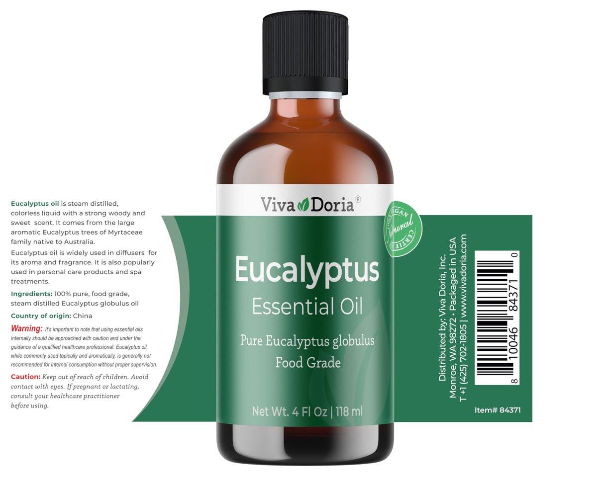 Viva Doria Eukalyptus ätherisches Öl, Lebensmittelqualität, 118 ml (4 Fl Oz) | 100 % reines & natürliches Eucalyptus Globulus | Aromatherapie-Öl für Diffuser, Dampf und Massage