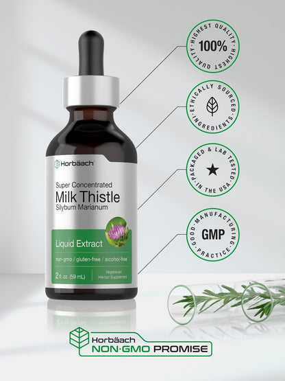 Horbäach Mariendistel-Extrakt Flüssig | 60 ml | Alkoholfrei | Vegetarisch, Ohne Gentechnik & Glutenfrei