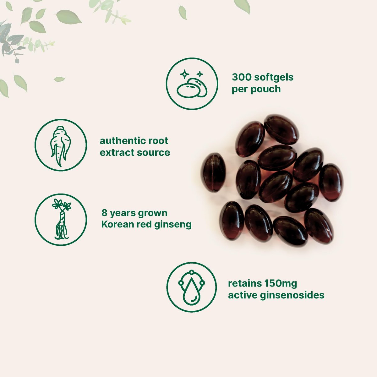Micro Ingredients Rote Panax Ginseng Nahrungsergänzung 300 Softgels | Hochwirksamer koreanischer Ginsengwurzelextrakt | Unterstützt Energie und Immunsystem | Non-GMO*