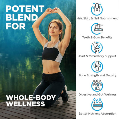 Nutrivein Premium Multi-Kollagen Kapseln 2250 mg – 180 leicht zu schluckende Kollagenkapseln: Typ I, II, III, V, X hydrolysierte Proteinpeptide für Frauen und Männer – Anti-Aging, Gelenke, Haare, Haut, Knochen & Nägel