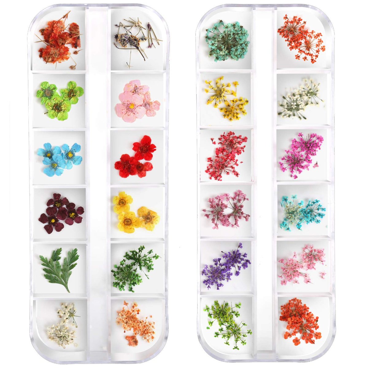 Teenitor 24 Farben getrocknete Nagelblumen, 3D Nagelkunst Aufkleber für Tipps Maniküre Dekoration, gemischte Accessoires, Blätter und Blumen (2 Schachteln)