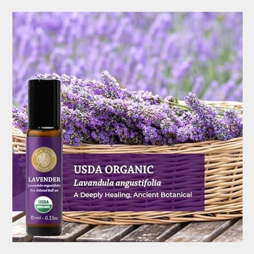 Silk Road Organic Bio-Lavendelöl Roll-On für Stressabbau, Schlaf, Ruhe & Entspannung | USDA-zertifiziertes Aromatherapie-Roller (10 ml)