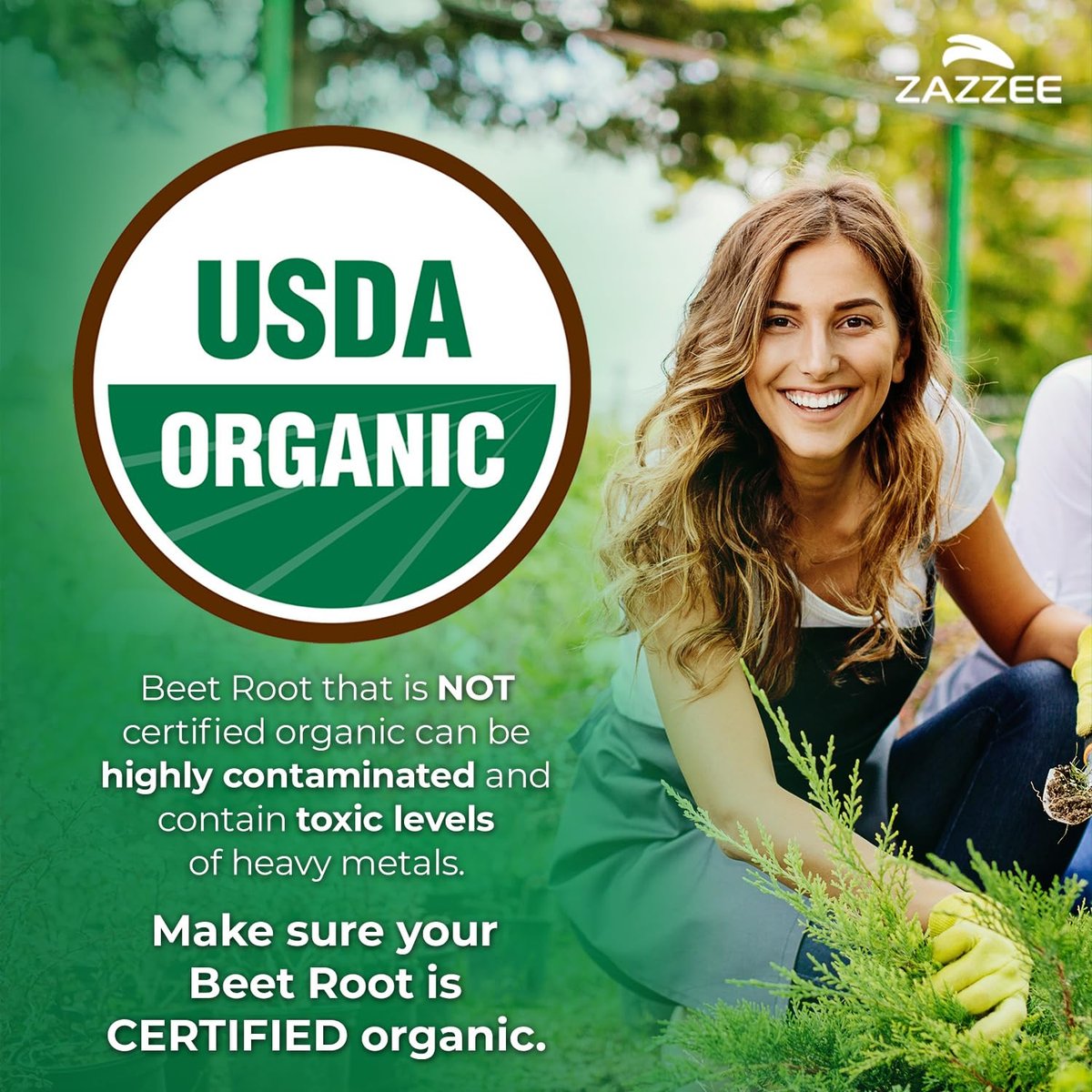 Zazzee Bio Rote Bete 20:1 Extrakt, 120 vegane Kapseln, 4-Monats-Vorrat, Stickoxid-Unterstützung, mit Schwarzem Pfeffer Extrakt, USDA Bio, Koscher, Non-GMO, Hergestellt in den USA