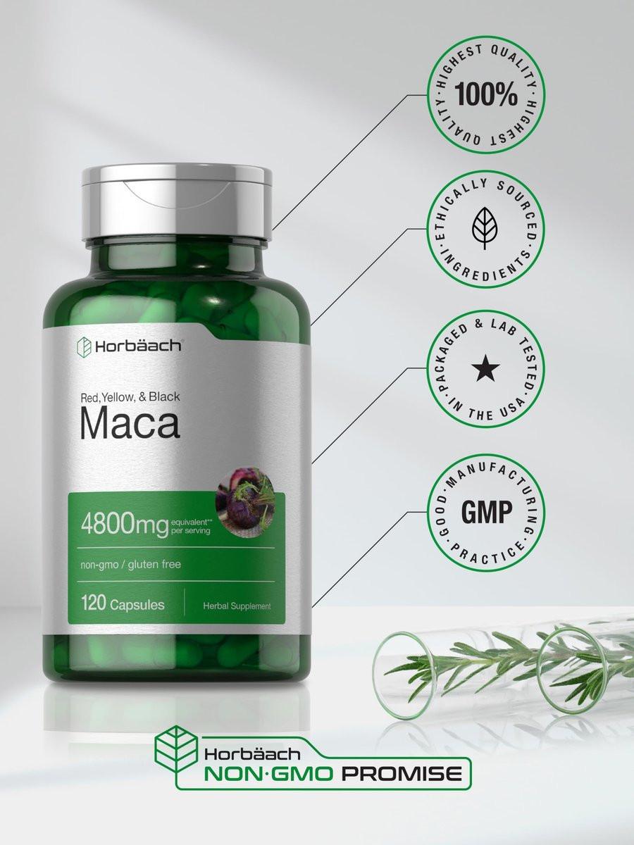 Horbäach Maca-Wurzel Kapseln für Männer und Frauen | 120 Kapseln | Hochwirksamer Extrakt | Nicht-GVO und glutenfreie Formel