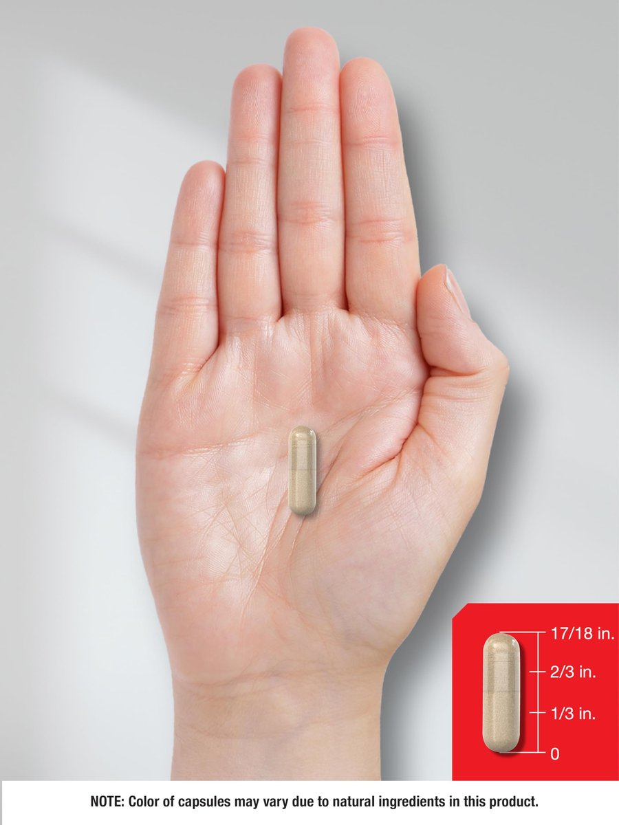 Horbaach Prostatakomplex für Männer | 200 Kapseln | Fortschrittliche Formel mit Sägepalme, Pygeum, Brennnessel | Non-GMO & Glutenfrei